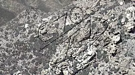 mina virgon numbers.webp mina virgon numbers.webp