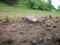 100_9543.webp