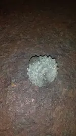 20140629_184224_0.webp