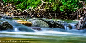 A river runs through it.webp