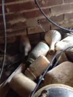 image-3785864257.webp