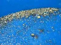Cold water gold 011.webp