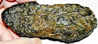NEA Meteorite 2.webp