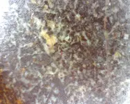 Image404.webp