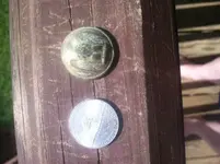 Button1.webp