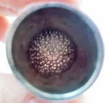 daisythimble4.webp