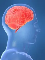 human_brain_as_belief_engine.webp