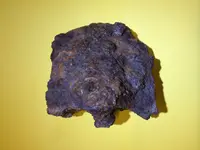 photo 4.webp