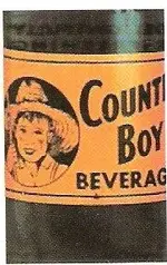 Country Boy.webp