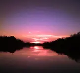 image-2071189318.webp