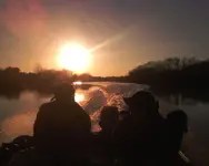 image-2033280252.webp