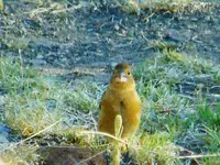 FSCN6987.webp