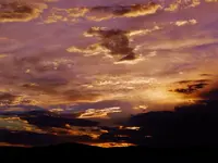 DSCN7951.webp