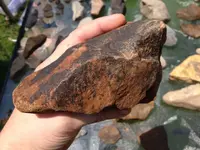 colrrocksnk2 (1).webp