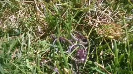 WP_20140726_002.webp