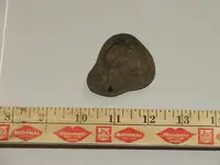 DSCF6050.webp