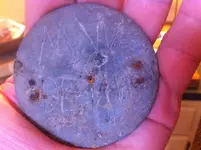 BP_rear.webp