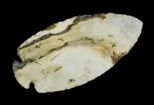 chocolate button base dove hocking county flint ridge material.webp