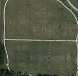 fields.webp