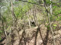Treasure cave 150.webp