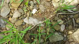20140708_102020.webp