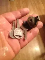 image-1535467242.webp