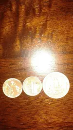 3 silver back.webp
