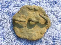 Rosette-B.jpg.webp