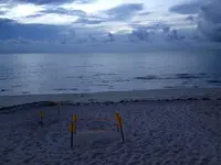 7-15-2014 a.m. @ Ritz.webp
