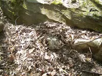 Treasure cave 175.webp