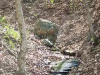 Treasure cave 182.webp