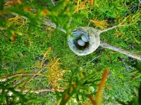 DSCN4047.webp