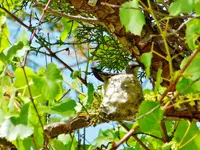 DSCN3584.webp