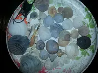 20140725_214350.webp