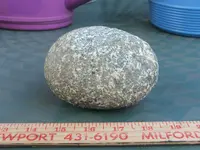 DSCF6058.webp