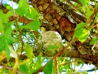 DSCN4149.webp DSCN4149.webp