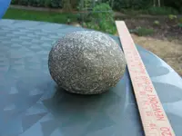 DSCF6060.webp