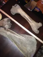 image-100808151.webp