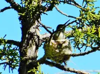 DSCN4018.webp