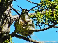 DSCN4021.webp