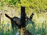 DSCN6165.webp