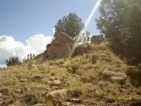 IMAG0173.webp