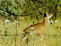 DSCN6170.webp