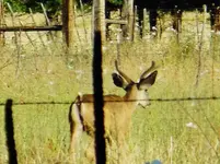 DSCN6183.webp