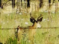 DSCN6185.webp