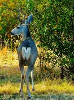 DSCN1424.webp
