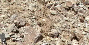 Face in rock.webp
