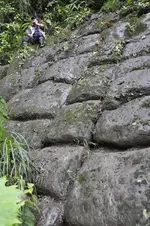 dsc0064.webp