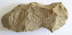 351076788183_1.webp