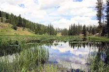 7-22a.webp